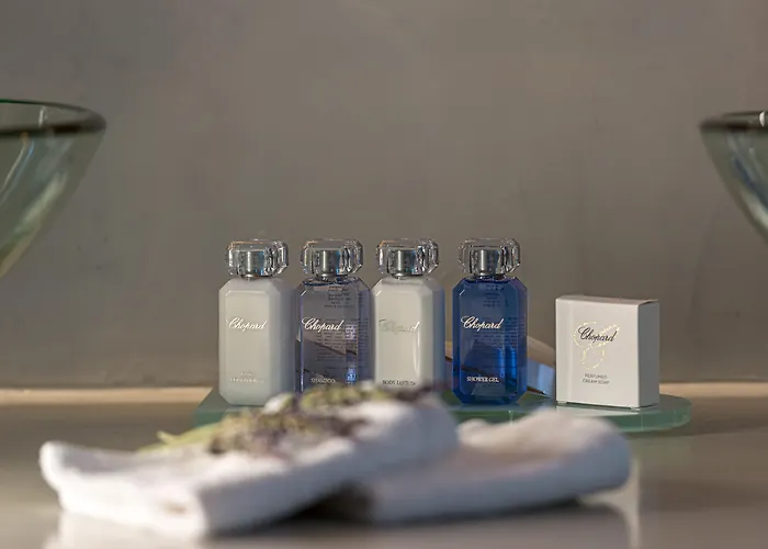 酒店 White Santorini 易莫洛林